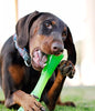 Bionic Urban Stick - Juguete para perros, resistente y masticable - BESTMASCOTA.COM