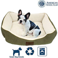 American Kennel Club - BESTMASCOTA.COM