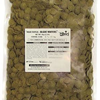 Pequeñas hostias de alga tropical Hikari para alimentar a peces herbívoros del fondo. - BESTMASCOTA.COM