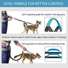 Correa para perro de LANNEY, manos libres, para correr, caminar, correr, entrenar senderismo, correa elástica retráctil para perros medianos a grandes, cinturón de cintura ajustable, costuras reflectantes, doble asa - BESTMASCOTA.COM