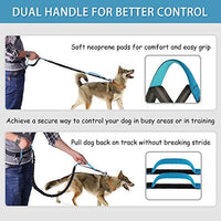 Correa para perro de LANNEY, manos libres, para correr, caminar, correr, entrenar senderismo, correa elástica retráctil para perros medianos a grandes, cinturón de cintura ajustable, costuras reflectantes, doble asa - BESTMASCOTA.COM