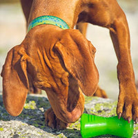 Bionic Bone Juguete resistente para perros - BESTMASCOTA.COM