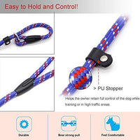 Correa Coolrunner collar de entrenamiento para mascota de Cesar el encantador de perros - BESTMASCOTA.COM