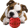 Nerf - Pelota de chirriar para perro - BESTMASCOTA.COM