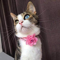 azuza Collar para gato con campana, 2 collares con purpurina para gato con accesorios de flores, rojo y rosa romántico - BESTMASCOTA.COM