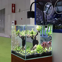Luz LED de acuario para agua salada, agua dulce, tanque plantado, abrazadera de luces para arrecife de coral, tanque de peces, con cuello de cisne - BESTMASCOTA.COM