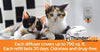 ThunderEase Multicat - Recambio de difusor de feromona calmante para reducir el conflicto, la tensión y la lucha de los gatos - BESTMASCOTA.COM