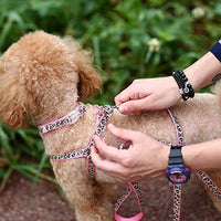 PAWZ Road Leopard Pet Leash Collar Arnés Set - BESTMASCOTA.COM