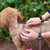 PAWZ Road Leopard - Juego de arnés para collar de mascota - BESTMASCOTA.COM