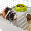 Cavie Guinea Pig Cage & Rabbit Cage | Pet Cage Includes Free Water Bottle, Hay Feeder, Hide-Out & Food Bowl - BESTMASCOTA.COM