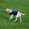 Furubaby Ansiedad Perro Abrigo una camisa Calm Down Perro Chaqueta para xs Pequeño Mediano Grande XL Perros | Color Sólido Azul Gris Verde Rosa Thunder Dog Wrap(Dark Blue) - BESTMASCOTA.COM