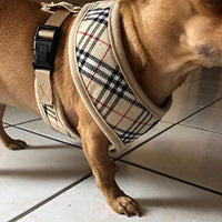 Ringloose - Arnés de malla suave para perros pequeños, medianos, cachorros, mascotas, fácil de controlar, para caminar y entrenar - BESTMASCOTA.COM