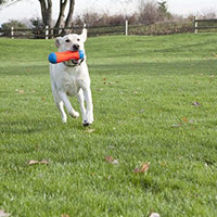 Lanzador de pelotas para perros ChuckIt! Juguete flotante para perros - BESTMASCOTA.COM