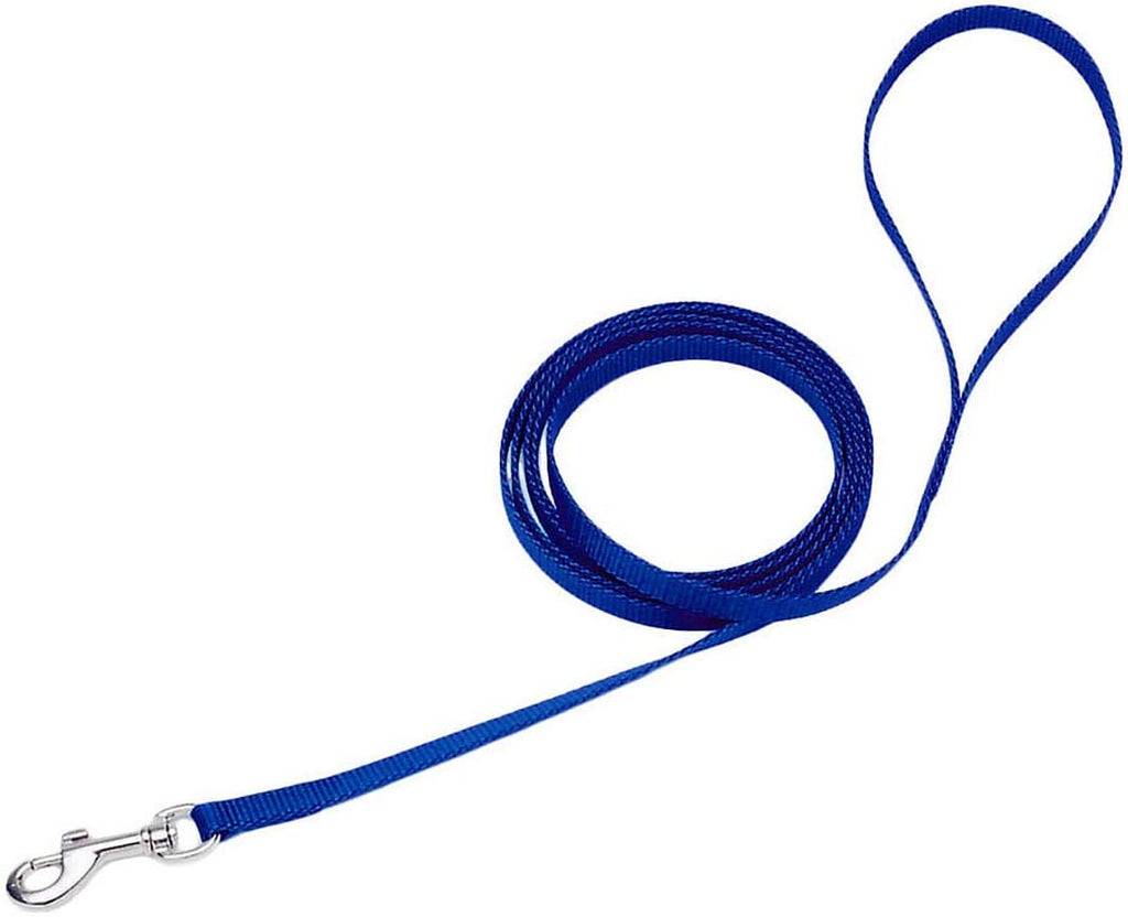 Coastal Correa del perro Pequeño – 4 ft. Azul con una anchura de 3/8 in., s, Azul - BESTMASCOTA.COM