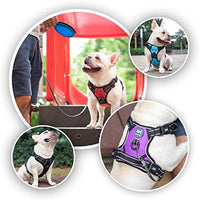PoyPet 2019 - Arnés para perro con 4 hebillas a presión, reflectante con 2 ganchos delanteros y traseros y un mango de fácil control [no necesita pasar por encima de la cabeza del perro] - BESTMASCOTA.COM