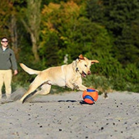 Chuckit Kick Fetch Toy Ball for Dogs - BESTMASCOTA.COM