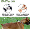 Wellbro collar de entrenamiento con dientes de metal para perros grandes y medianos (Pit Bull, pastor alemán), con hebilla a presión de liberación rápida y puntas de hule, plateado y regulable - BESTMASCOTA.COM
