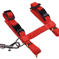 Gato Arnés y Correa Ajustable Cuello Nylon Azul, Rojo y 1 2 Pack perro One Size Fits All - BESTMASCOTA.COM