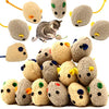 Youngever 20 piezas de juguetes para gatos, ratones, ratones, ratones, gatos, juguetes de gato, juego interactivo para gato, cachorro, gatito, gatito - BESTMASCOTA.COM