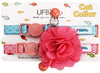 UFBemo - Collar para gato con correa ajustable con hebilla de seguridad y collar de nailon resistente, cuello de 9 a 13 pulgadas - BESTMASCOTA.COM