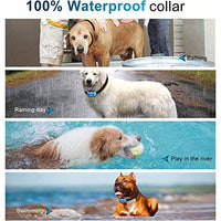 TOTIE Dog Bark Collar -7 Adjustable Sensitivity and Intensity Levels-Dual Anti-Barking Modes Rechargeable/Rainproof/Reflective -No Barking Control Dog Shock Collar for Small Medium Large Dogs - BESTMASCOTA.COM