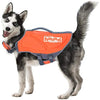 Chaqueta para perros que sean nadadores novatos o de por vida de Outward Hound Dawson. - BESTMASCOTA.COM