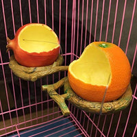 Pxlucky - Comedero para pájaros, cuenco para comida de pájaros, taza para loros pequeños, cacatúas, hámster, pequeño animal, recipiente para agua potable para pájaros, jaula de accesorios - BESTMASCOTA.COM
