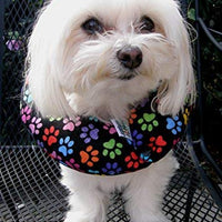 Paragolpes para cachorro - Mantenga a su perro en el lado seguro de la valla - Paw arco iris - BESTMASCOTA.COM