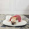 ANWA Dog Bed Pet Cushion Crate Mat Soft Pad Washable and Cozy for Medium Large Dog - BESTMASCOTA.COM