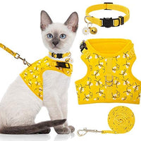 BINGPET Arnés para gato con correa y cuello para caminar, a prueba de escape, con correa de 59 pulgadas – Arneses de chaleco suave ajustable para gatos de tamaño mediano grande - BESTMASCOTA.COM