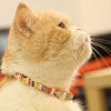touchcat impreso collar de gato de nylon con cinturón de seguridad 8 – 12 inches - BESTMASCOTA.COM