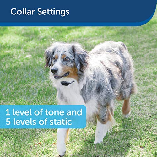 PetSafe Stay & Play - Valla inalámbrica para perros obstinados - de la  marca Parent Company de la valla invisible – Cerca eléctrica para mascotas  por encima del suelo