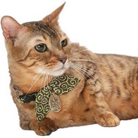 Necoichi Ninja Cat Collar - BESTMASCOTA.COM