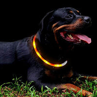 Collar LED para perro, recargable por USB, collar brillante para perro, cuello iluminado, mejora la seguridad y visibilidad de la mascota en la noche, 3 modos intermitentes, resistente al agua, collar iluminado para perros pequeños y medianos grandes - BESTMASCOTA.COM