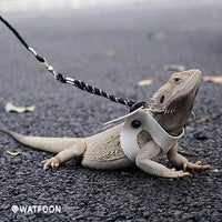 WATFOON - Arnés de piel de reptil con alas ajustables con correa de dragón, anfibios de lagarto, camaleón, cobaya, hurones, hámster, ratas, animales pequeños - BESTMASCOTA.COM