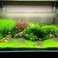 Hygger - Limpiador magnético fuerte para acuario, herramienta de limpieza de algas con raspador y cepillo flotante para tanque de peces - BESTMASCOTA.COM