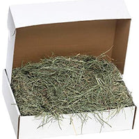 Small Pet Select Orchard Grass Hay Pet Food - BESTMASCOTA.COM