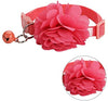 UFBemo - Collar para gato con correa ajustable con hebilla de seguridad y collar de nailon resistente, cuello de 9 a 13 pulgadas - BESTMASCOTA.COM