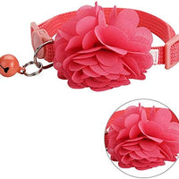 UFBemo - Collar para gato con correa ajustable con hebilla de seguridad y collar de nailon resistente, cuello de 9 a 13 pulgadas - BESTMASCOTA.COM