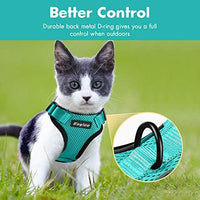 Eagloo Arnés de gato a prueba de escape, arnés de malla suave ajustable para gato con correa reflectante de metal para caminar chaqueta cómoda para mascotas Gatito cachorro conejo - BESTMASCOTA.COM