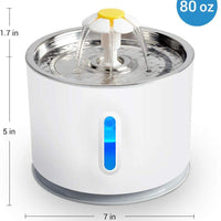 NICREW Fuente de agua para gatos, fuente de agua LED para mascotas para perros pequeños, dispensador de agua para gatos con luz nocturna LED y parte superior de acero inoxidable, 2 filtros incluidos - BESTMASCOTA.COM