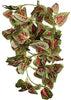 Fluker's 51017 Repta Vine Small Animal Hanging Vine, Red Coleus - BESTMASCOTA.COM