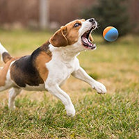 Bolas de goma para perro, tamaño de pelota de tenis, prácticamente indestructibles (3 unidades) - BESTMASCOTA.COM