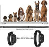 Collar de choque para perros – Collar de entrenamiento para perro con mando a distancia con 3 modos de entrenamiento, pitido, vibración y golpes, recargable 100% impermeable collar eléctrico para perros pequeños, medianos y grandes, hasta 1500 pies remoto - BESTMASCOTA.COM