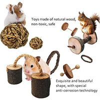 Juguetes para mascotas de cobaya, manzana natural y abedul, divertido juguete para ejercitar mancuernas, mantiene a tu pequeña mascota más cerca de la naturaleza, cuidado de los dientes molar, para chinchilla hámster conejos, pájaro, rata, gerbo. - BESTMASCOTA.COM