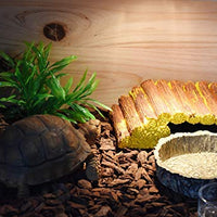 OMEM Reptile - Plato de comida y agua (resina) - BESTMASCOTA.COM
