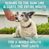 Frontline Oral Defense Daily Dental Masticables para perros pequeños - BESTMASCOTA.COM