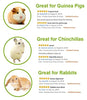 ULIGOTA Timothy - Palos de hámster para masticar hámster - BESTMASCOTA.COM