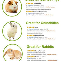 ULIGOTA Timothy - Palos de hámster para masticar hámster - BESTMASCOTA.COM