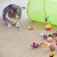 Youngever 24 juguetes para gatos juguetes surtidos, túnel de 2 vías, plumas para gatos – juguete interactivo de plumas esponjoso ratón, pelotas para gato, cachorro, gatito - BESTMASCOTA.COM